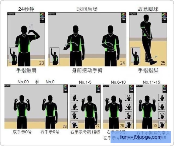 武术裁判手势标准解读，评分尺度统一成为看点